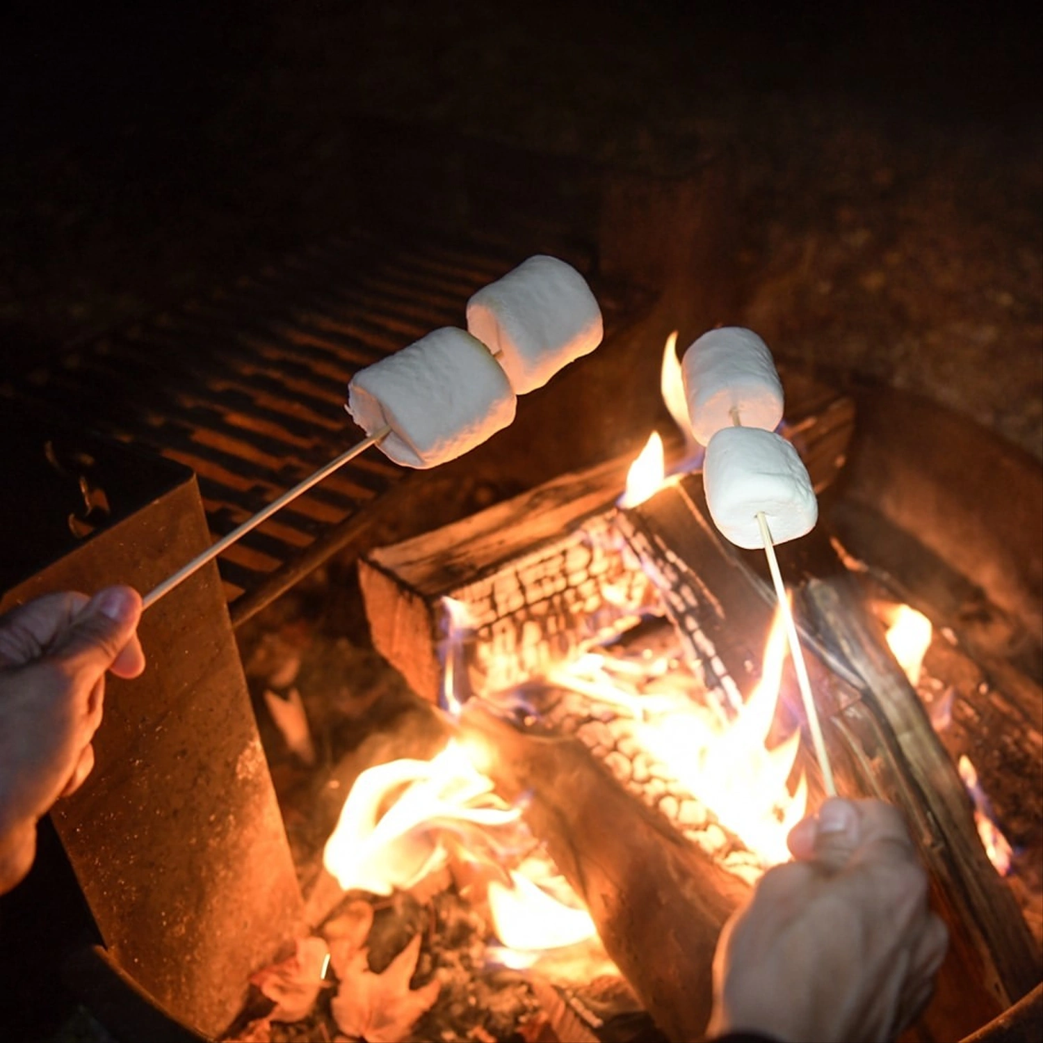 Leelanau Pines Campground — photo 4