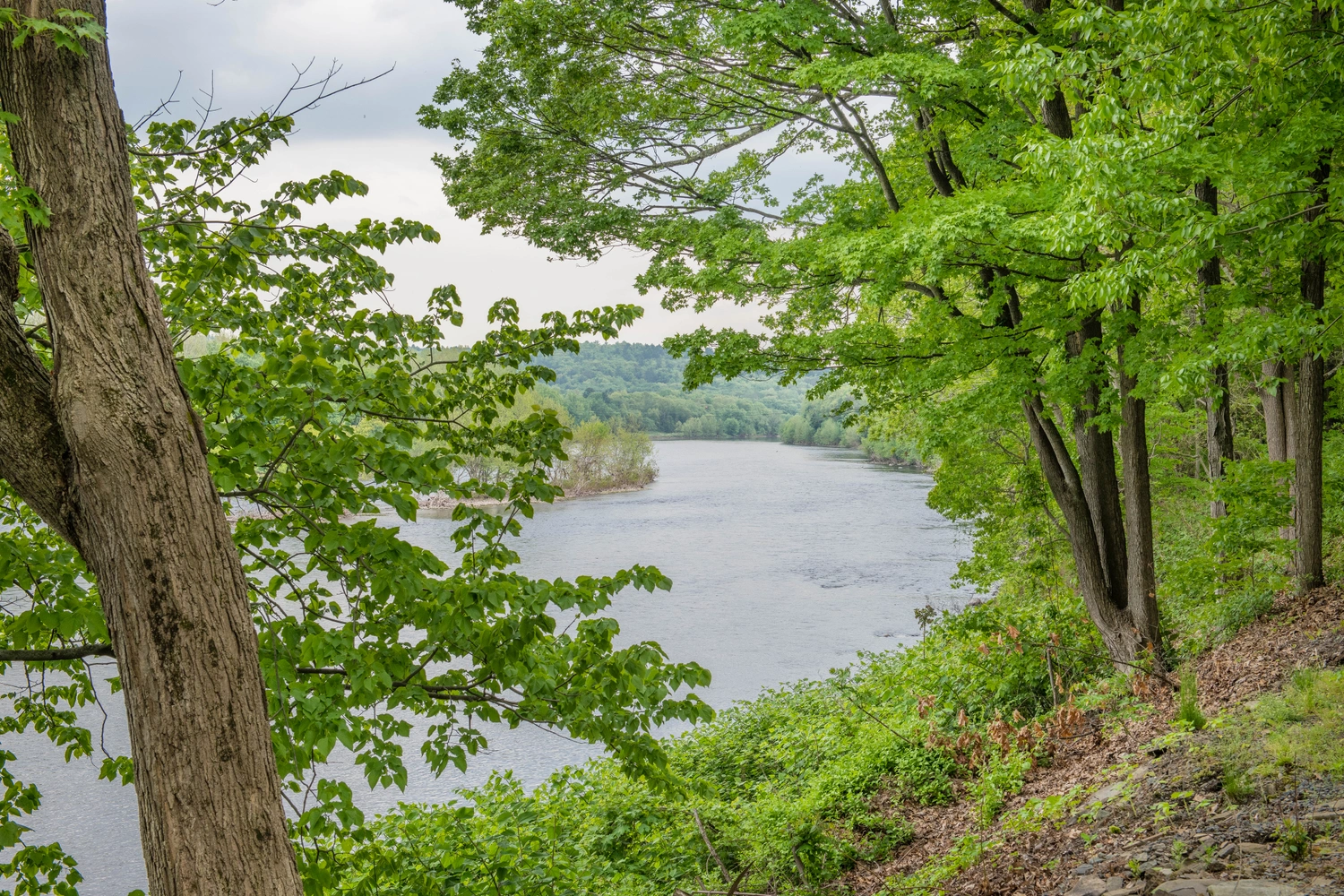 Kittatiny Canoes - River Beach Campground — photo 8