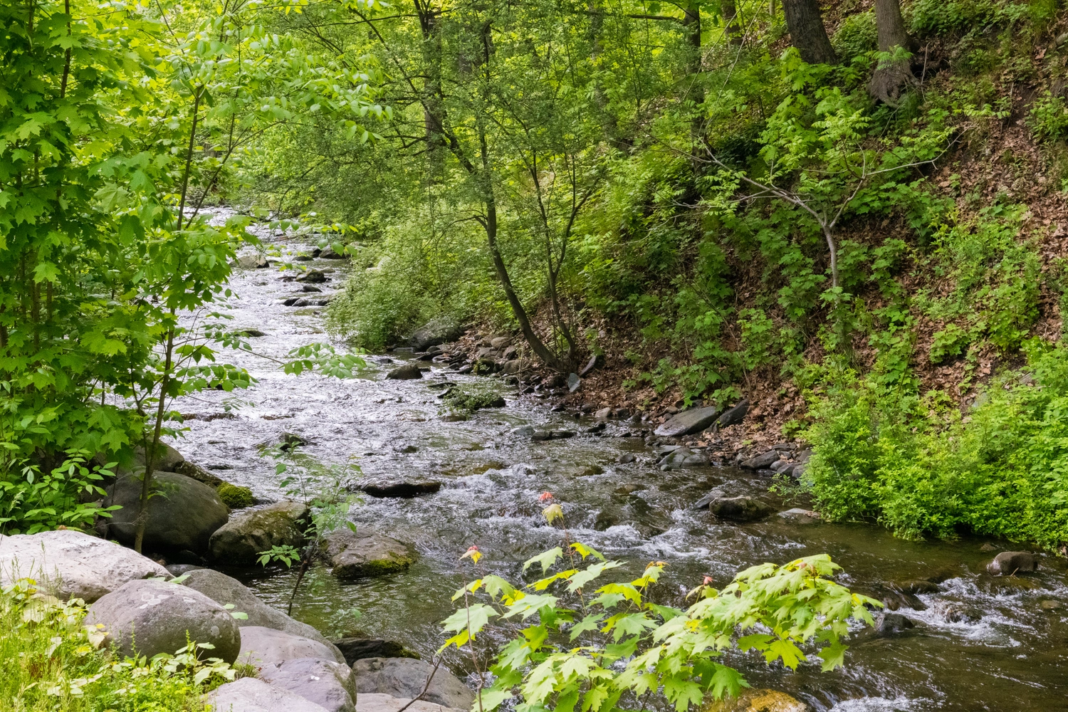 Kittatiny Canoes - River Beach Campground — photo 6